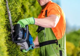 comment choisir un taille haie électrique